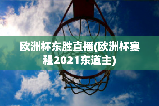 欧洲杯东胜直播(欧洲杯赛程2021东道主)