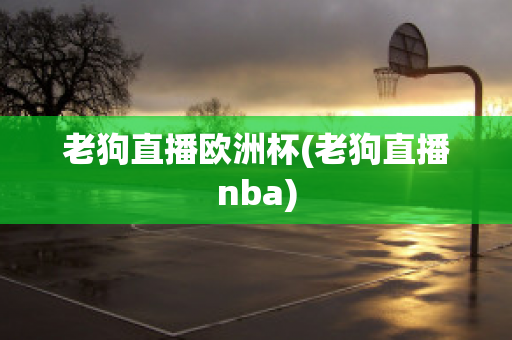 老狗直播欧洲杯(老狗直播nba)