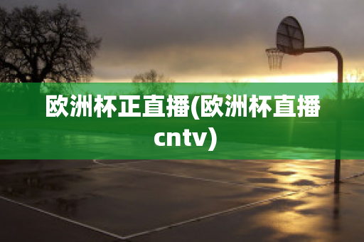 欧洲杯正直播(欧洲杯直播 cntv)