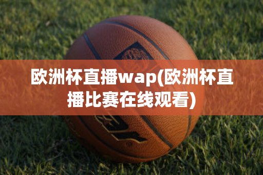 欧洲杯直播wap(欧洲杯直播比赛在线观看)