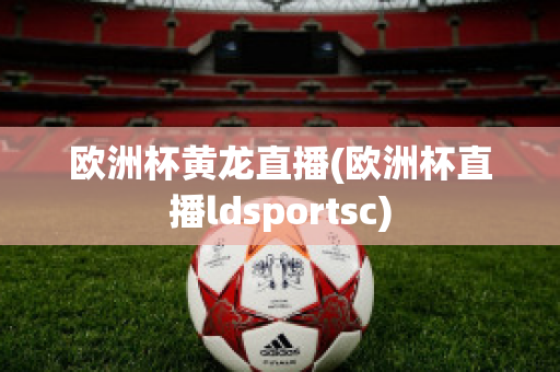 欧洲杯黄龙直播(欧洲杯直播ldsportsc)