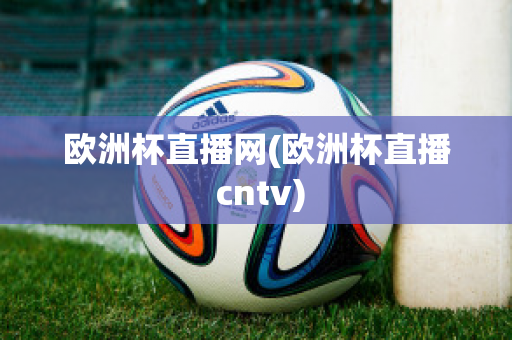 欧洲杯直播网(欧洲杯直播 cntv)