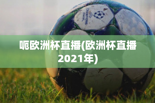 呃欧洲杯直播(欧洲杯直播2021年)