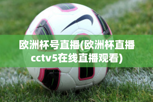 欧洲杯号直播(欧洲杯直播cctv5在线直播观看)