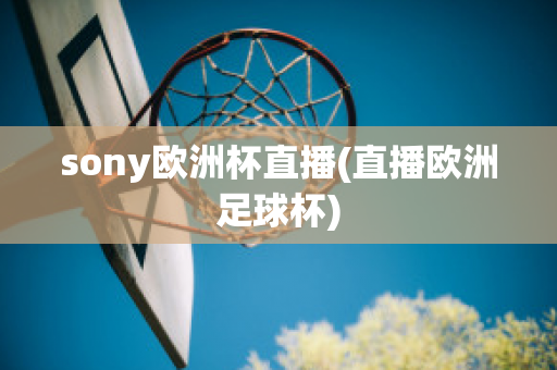 sony欧洲杯直播(直播欧洲足球杯)