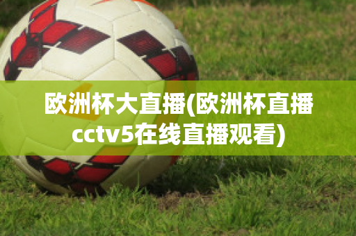 欧洲杯大直播(欧洲杯直播cctv5在线直播观看)