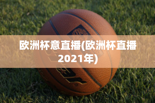 欧洲杯意直播(欧洲杯直播2021年)