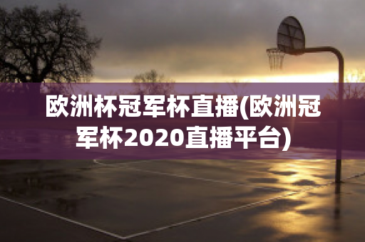 欧洲杯冠军杯直播(欧洲冠军杯2020直播平台)