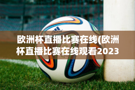 欧洲杯直播比赛在线(欧洲杯直播比赛在线观看2023)