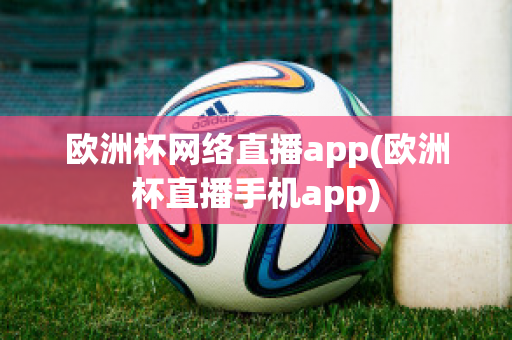 欧洲杯网络直播app(欧洲杯直播手机app)