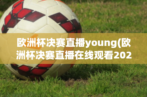 欧洲杯决赛直播young(欧洲杯决赛直播在线观看2023)