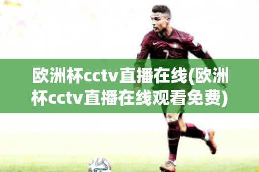 欧洲杯cctv直播在线(欧洲杯cctv直播在线观看免费)