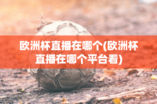 欧洲杯直播在哪个(欧洲杯直播在哪个平台看)