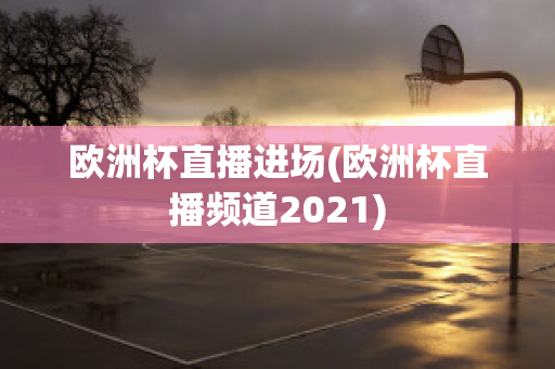 欧洲杯直播进场(欧洲杯直播频道2021)