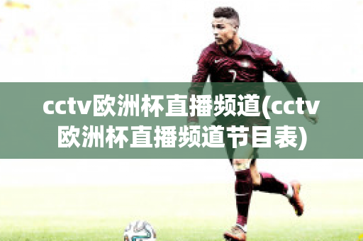 cctv欧洲杯直播频道(cctv欧洲杯直播频道节目表)