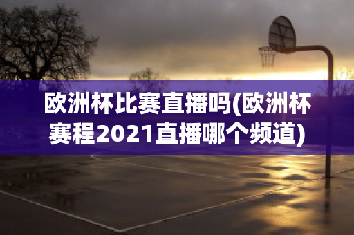 欧洲杯比赛直播吗(欧洲杯赛程2021直播哪个频道)