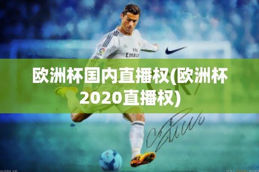 欧洲杯国内直播权(欧洲杯2020直播权)