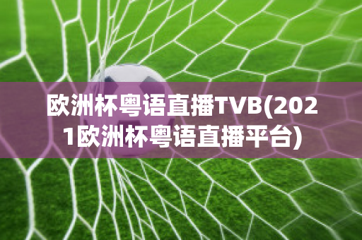 欧洲杯粤语直播TVB(2021欧洲杯粤语直播平台)