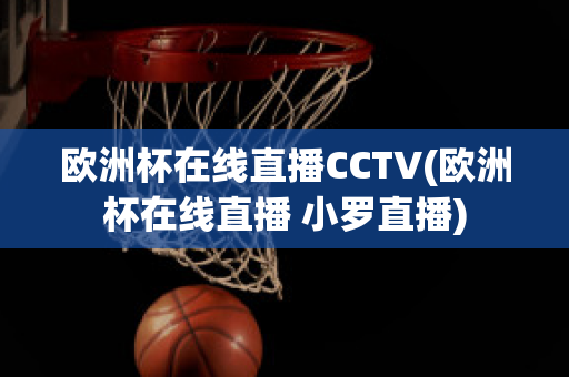 欧洲杯在线直播CCTV(欧洲杯在线直播 小罗直播)