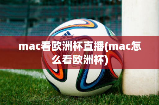 mac看欧洲杯直播(mac怎么看欧洲杯)