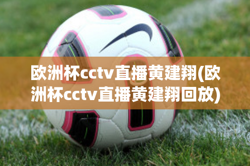 欧洲杯cctv直播黄建翔(欧洲杯cctv直播黄建翔回放)