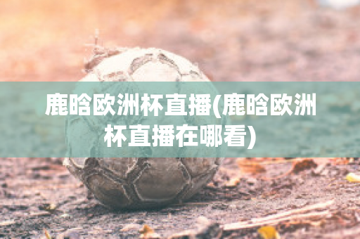 鹿晗欧洲杯直播(鹿晗欧洲杯直播在哪看)