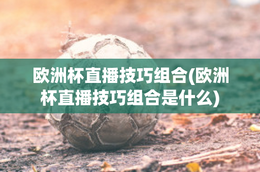 欧洲杯直播技巧组合(欧洲杯直播技巧组合是什么)