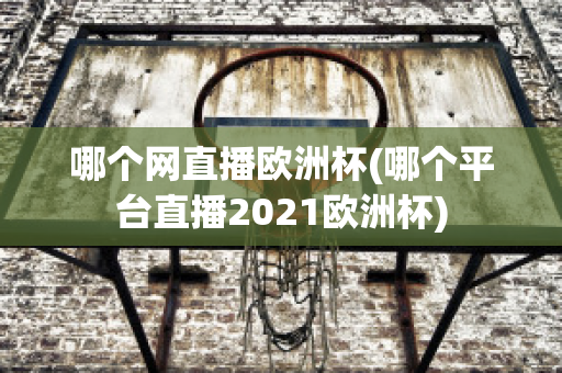 哪个网直播欧洲杯(哪个平台直播2021欧洲杯)