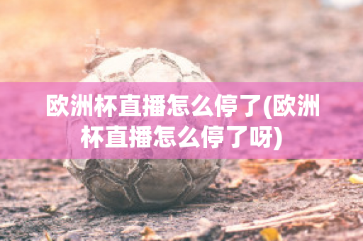 欧洲杯直播怎么停了(欧洲杯直播怎么停了呀)