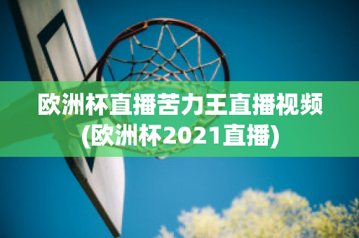 欧洲杯直播苦力王直播视频(欧洲杯2021直播)