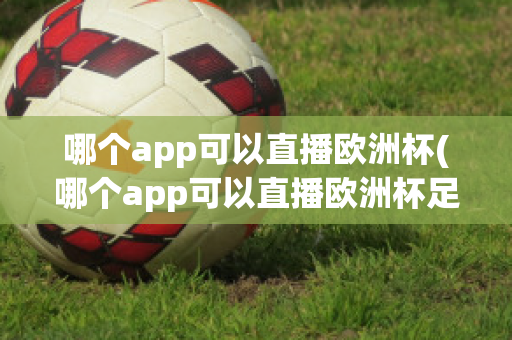 哪个app可以直播欧洲杯(哪个app可以直播欧洲杯足球比赛)