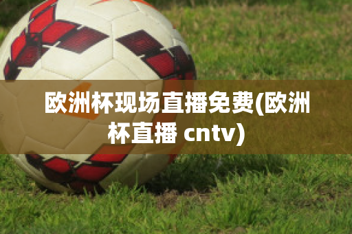 欧洲杯现场直播免费(欧洲杯直播 cntv)