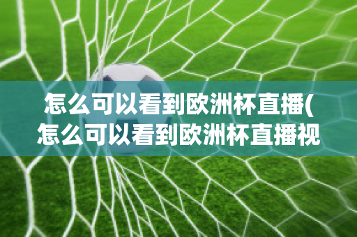 怎么可以看到欧洲杯直播(怎么可以看到欧洲杯直播视频)