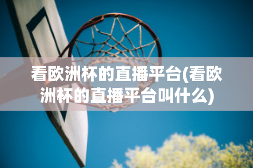 看欧洲杯的直播平台(看欧洲杯的直播平台叫什么)