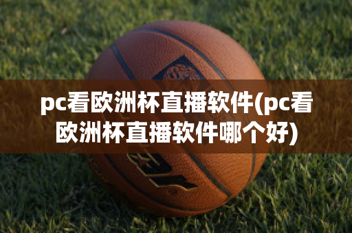 pc看欧洲杯直播软件(pc看欧洲杯直播软件哪个好)