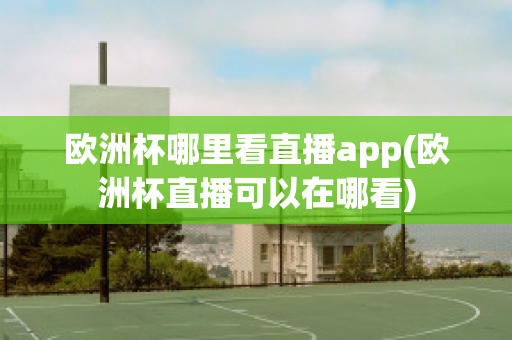 欧洲杯哪里看直播app(欧洲杯直播可以在哪看)