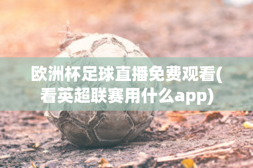 欧洲杯足球直播免费观看(看英超联赛用什么app)