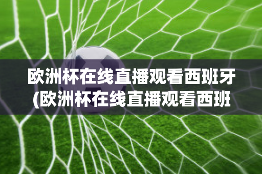 欧洲杯在线直播观看西班牙(欧洲杯在线直播观看西班牙男篮)