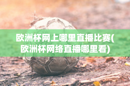 欧洲杯网上哪里直播比赛(欧洲杯网络直播哪里看)