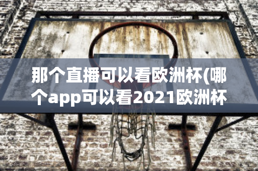 那个直播可以看欧洲杯(哪个app可以看2021欧洲杯直播)