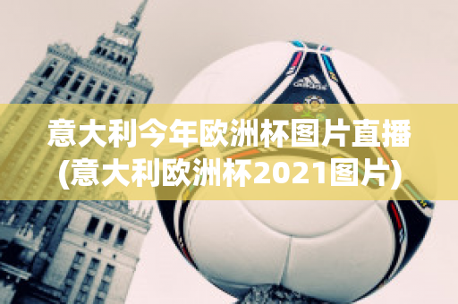 意大利今年欧洲杯图片直播(意大利欧洲杯2021图片)