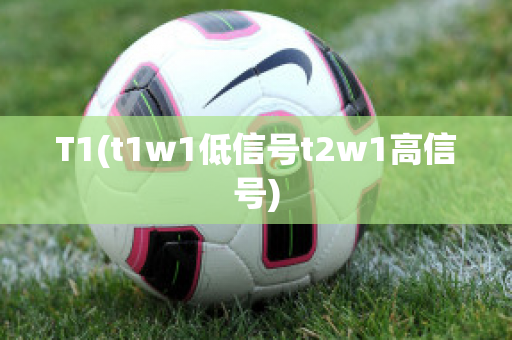 T1(t1w1低信号t2w1高信号)