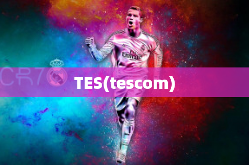 TES(tescom)