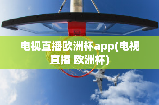 电视直播欧洲杯app(电视直播 欧洲杯)