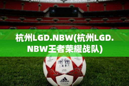 杭州LGD.NBW(杭州LGD.NBW王者荣耀战队)