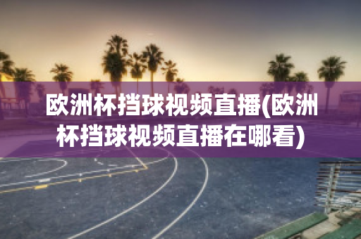 欧洲杯挡球视频直播(欧洲杯挡球视频直播在哪看)