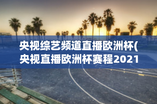 央视综艺频道直播欧洲杯(央视直播欧洲杯赛程2021赛程表)