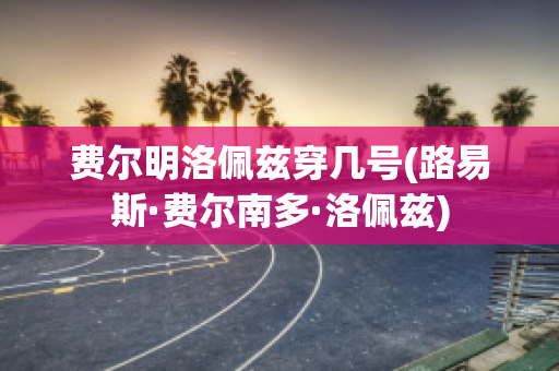 费尔明洛佩兹穿几号(路易斯·费尔南多·洛佩兹)