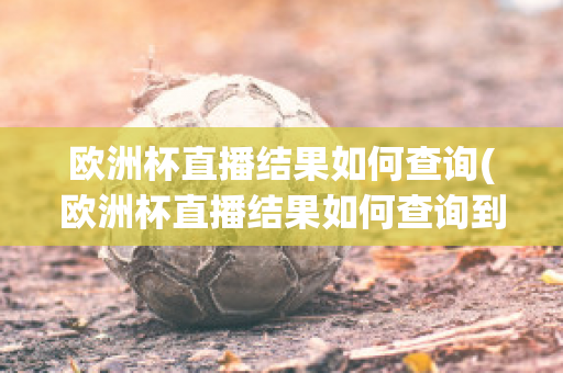 欧洲杯直播结果如何查询(欧洲杯直播结果如何查询到)