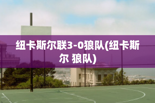 纽卡斯尔联3-0狼队(纽卡斯尔 狼队)